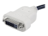 StarTech.com DisplayPort to DVI Adapter - Nærbillede