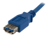 StarTech.com 1m Blue SuperSpeed USB 3.0 Extension Cable A to A - Nærbillede