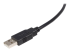 StarTech.com 10 ft USB 2.0 Certified A to B Cable - Nærbillede