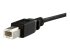 StarTech.com 1 ft Panel Mount USB Cable B to B - Nærbillede