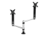 StarTech.com Desk Mount Dual Monitor Arm - Forside