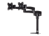 StarTech.com Desk Mount Dual Monitor Arm - Højre vinkel