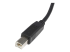 StarTech.com 6 ft. (1.8 m) USB Printer Cable - Nærbillede