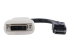 StarTech.com DisplayPort to DVI Adapter - Forside