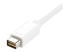 StarTech.com Mini DVI to HDMI Video Adapter for Macbooks and iMacs- M/F - Nærbillede