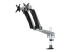 StarTech.com Desk Mount Dual Monitor Arm - Højre vinkel